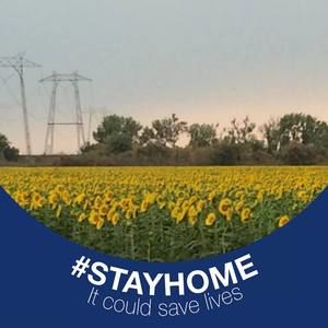 Meet your Posher, Christi